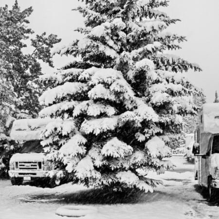 RV parked in the snow by a tree in winter - the best RV heaters will keep you warm in these conditions