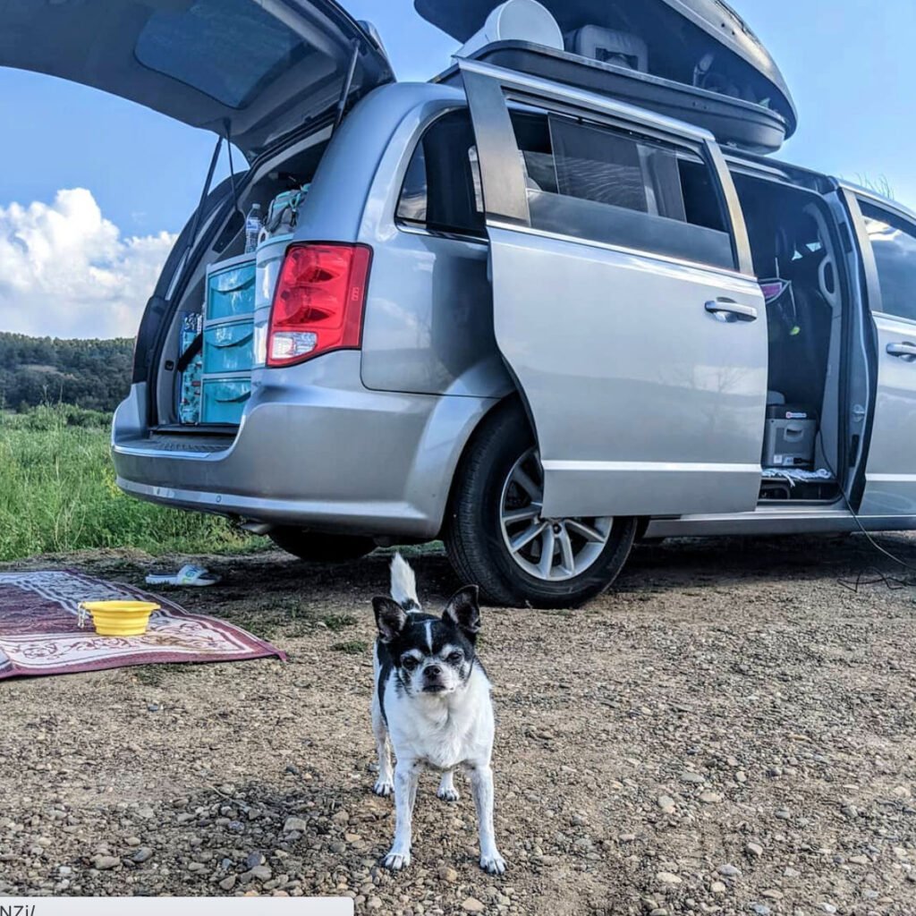 Van Life With Dogs 15 Tips For You And Your Fur Baby The Wayward Home