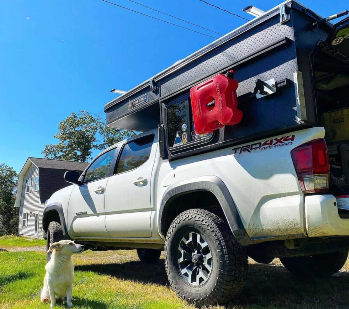 Former Marine and his Afghan Dog Travel and Inspire in a Truck Camper