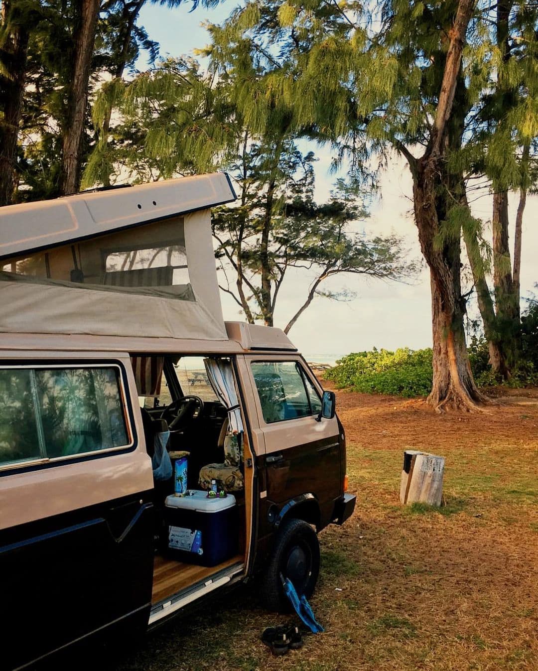 9 Small Camper Vans for Rent Perfect for BudgetSavvy Travelers