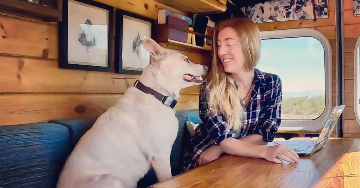 living in a van with a dog