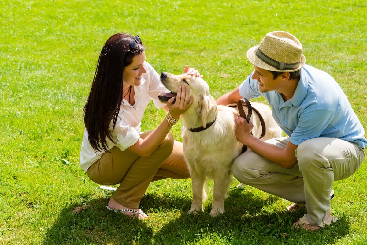 A man and a woman petting a golden retriever in green grass.