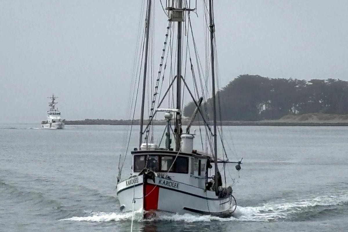 fishing boat getting towed into port
