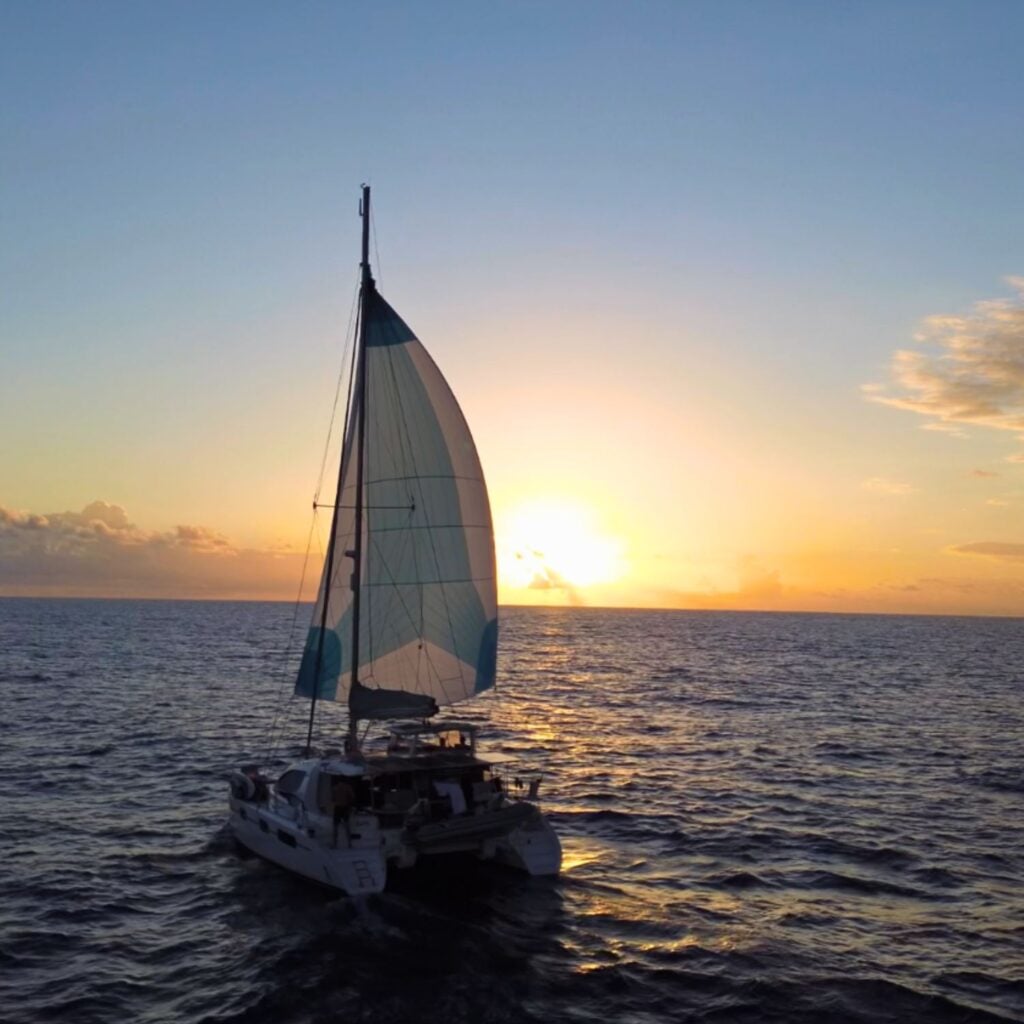 catamaran sailing