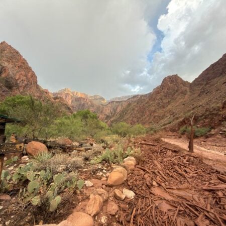 A debris field of shredded driftwood covers the trail beside the Phantom Ranger Station entrance sign after the Grand Canyon flash flood