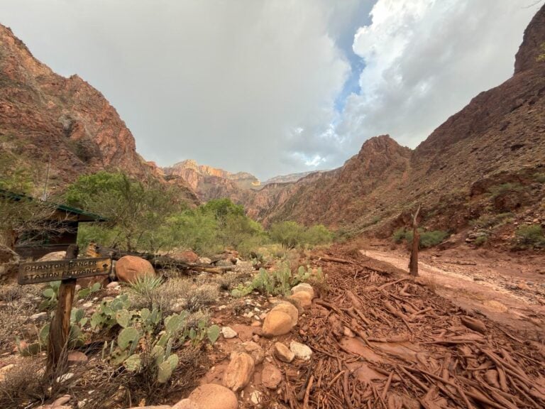 A debris field of shredded driftwood covers the trail beside the Phantom Ranger Station entrance sign after the Grand Canyon flash flood
