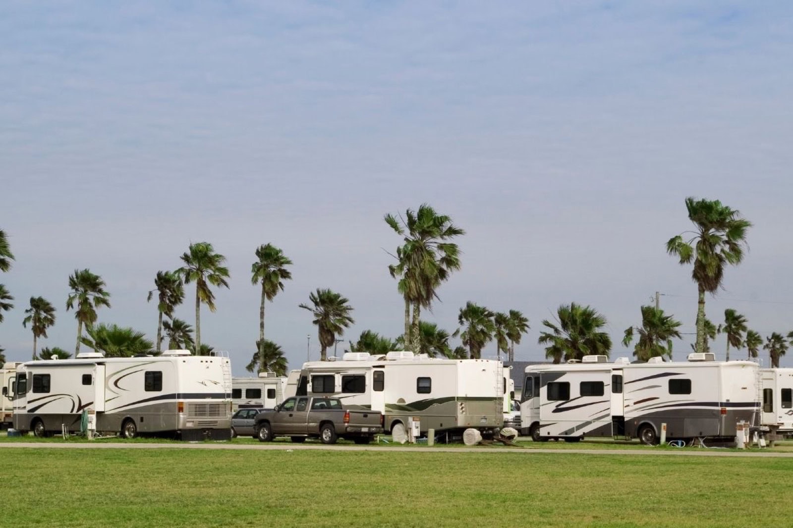RVs packed side by side in a crowded RV park lined with palm trees