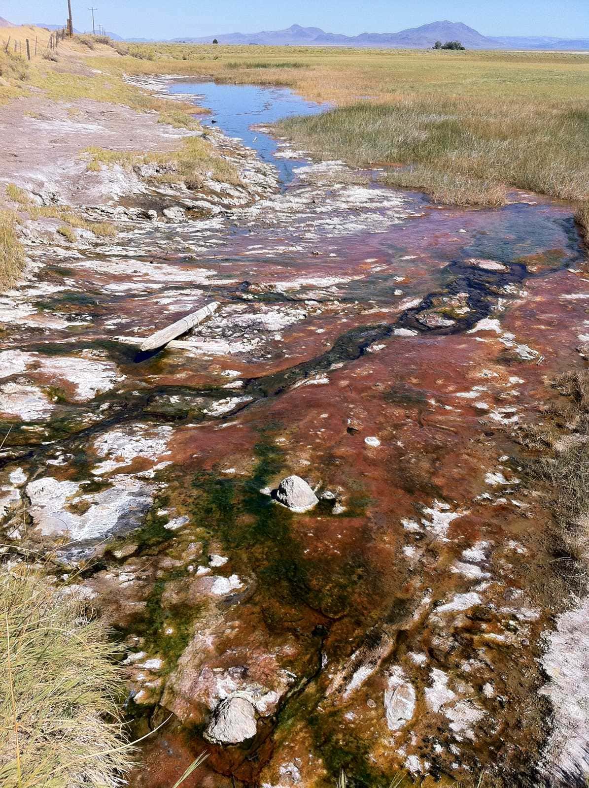 Mineral-streaked hot creek with Alvord playa and hills, Alvord Hot Springs