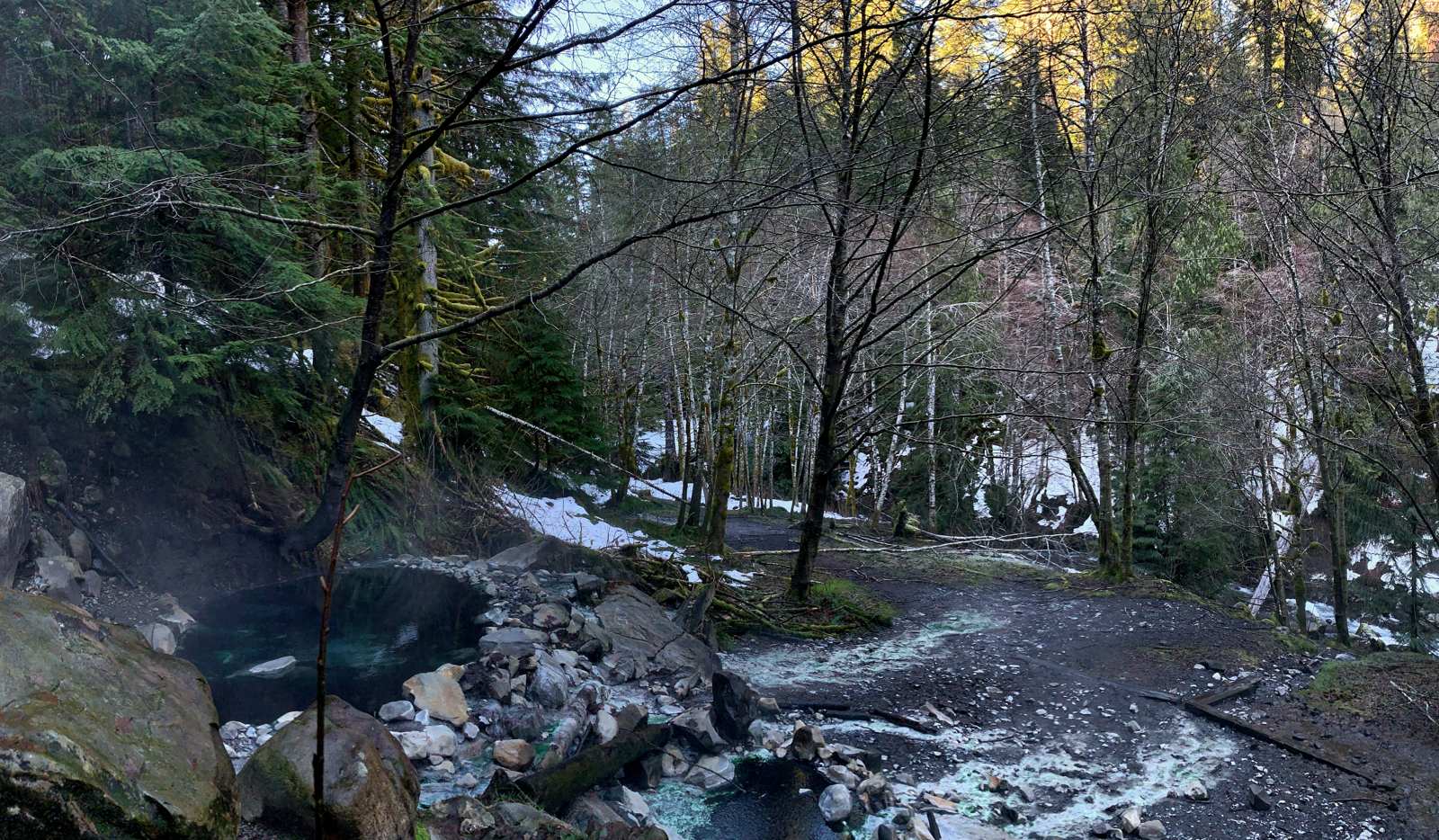 Steaming rock-and-mud pool beside a snowy trail in the forest, Olympic Hot Springs