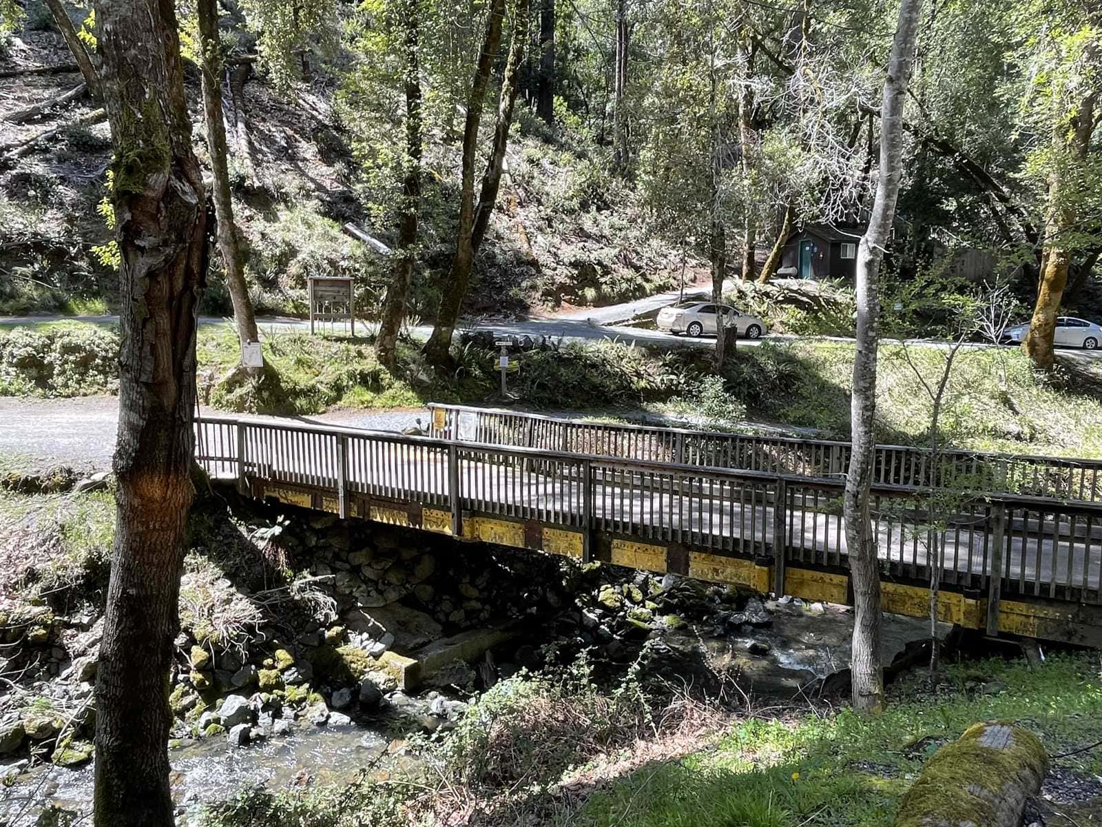 Footbridge over the creek at the resort entrance, redwoods, Orr Hot Springs