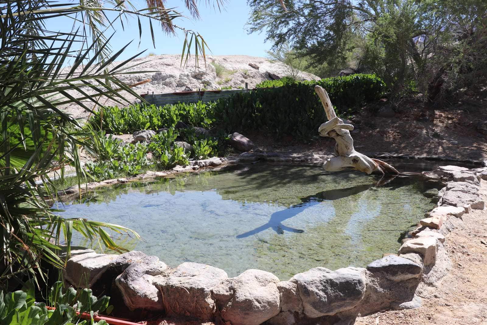 Stone-rimmed Lower Spring pool with driftwood sculpture and palms, Saline Valley Warm Springs