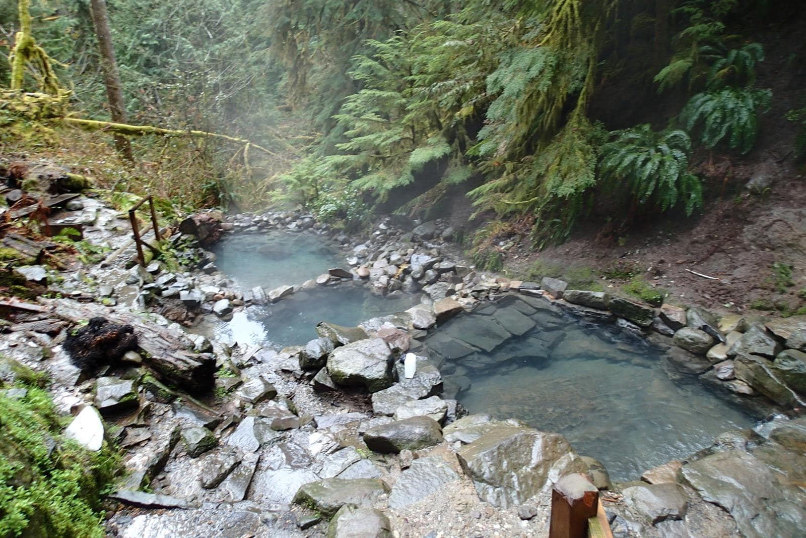 Terraced blue pools in mossy old-growth forest, Terwilliger/Cougar Hot Springs